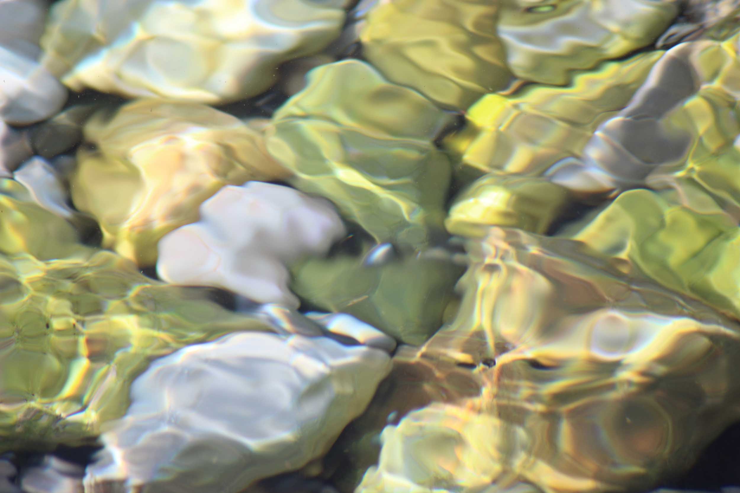 Foam from waves wash onto a sandy beach.