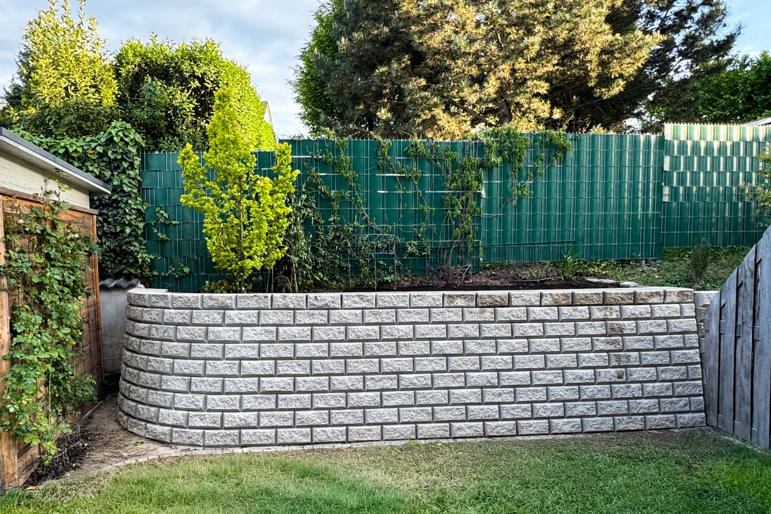 Gebogene Stützmauer im Garten