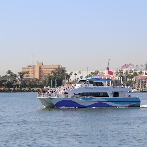 Long Beach Whale Watching & Dolphin