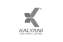 kalyani venture limited 