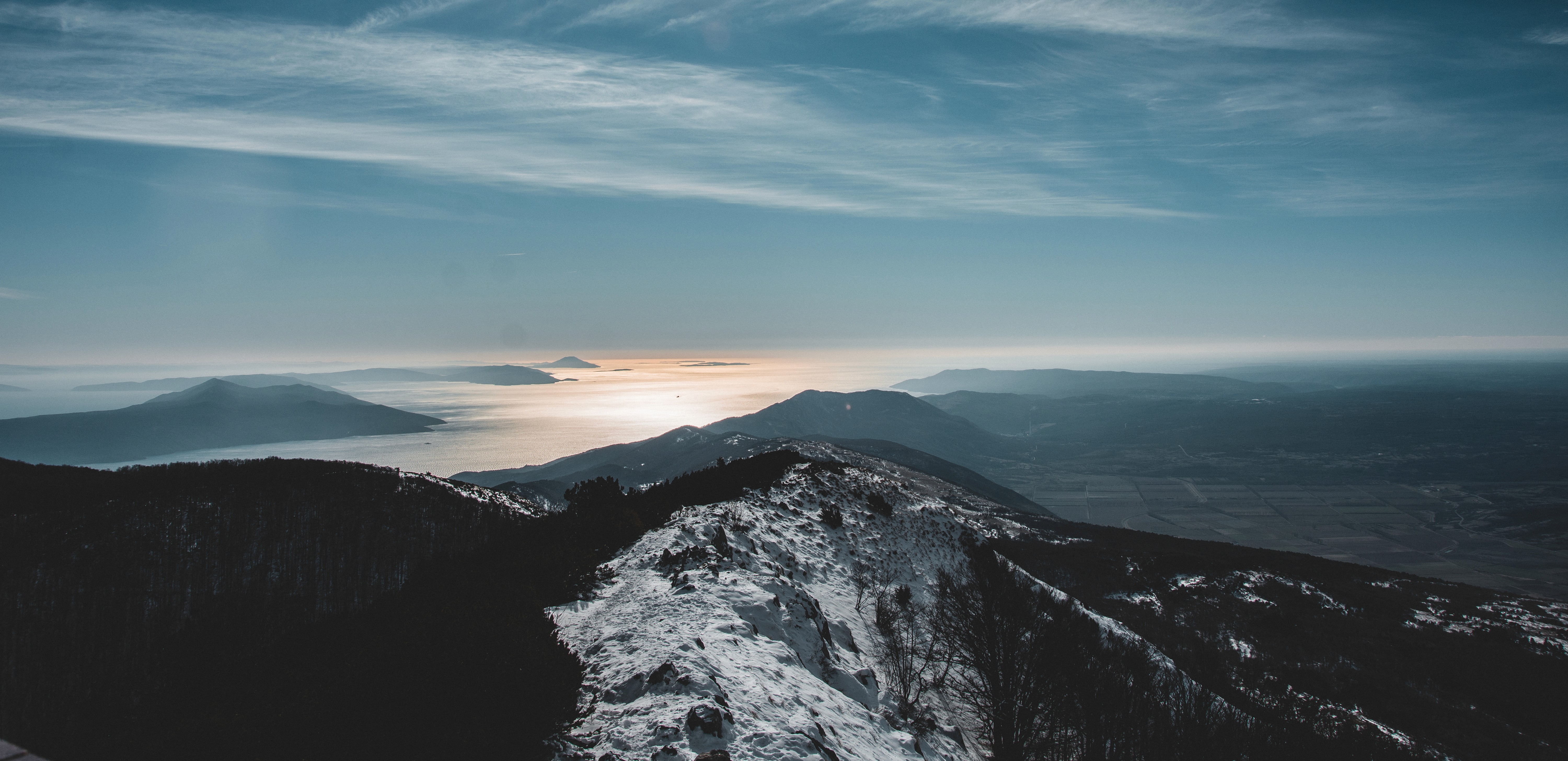 Delicate green foliage and pink flowers.