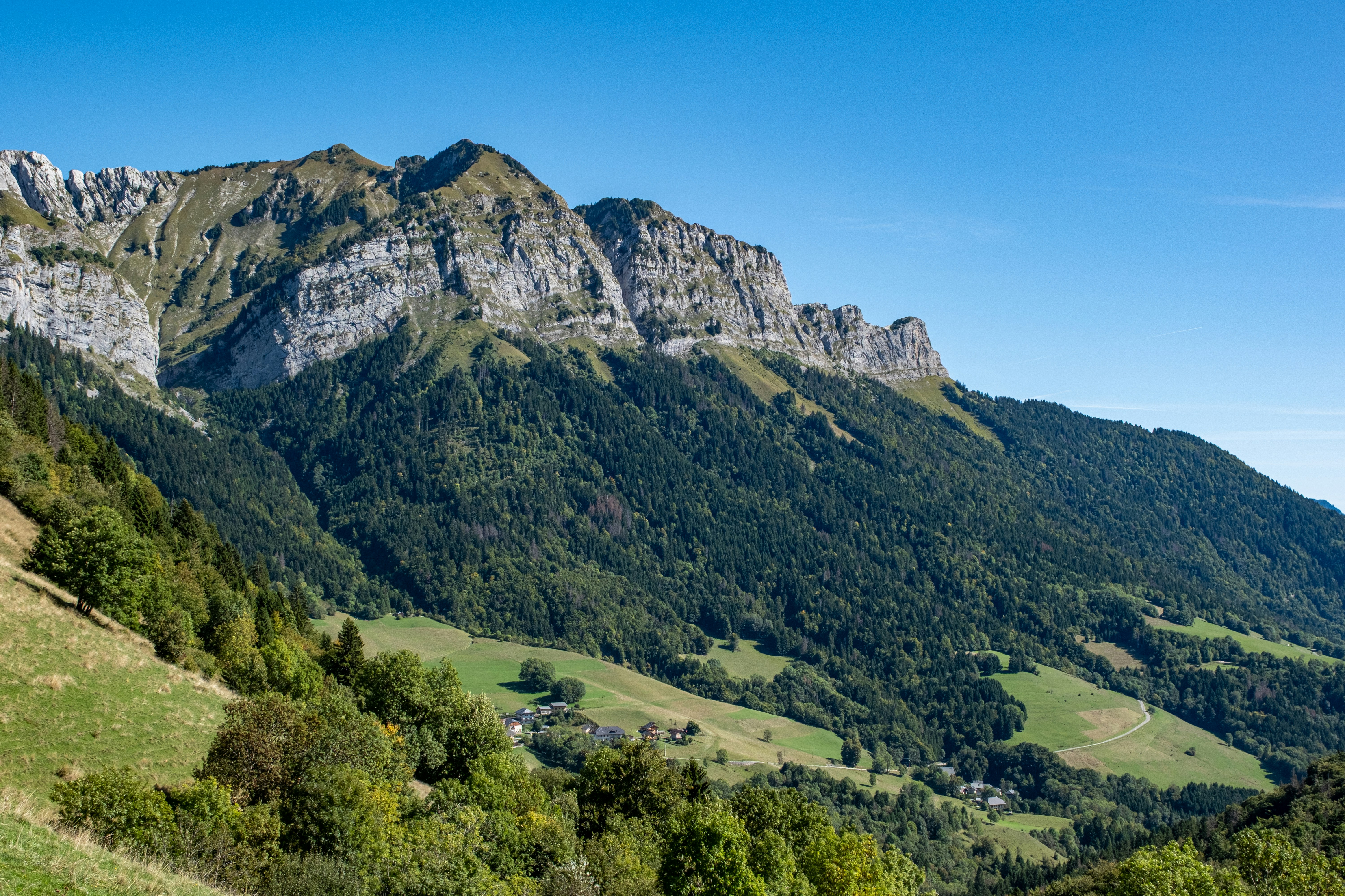 Majestic mountain range with lush green forests below.