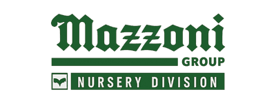 Logo Mazzoni group nursery division