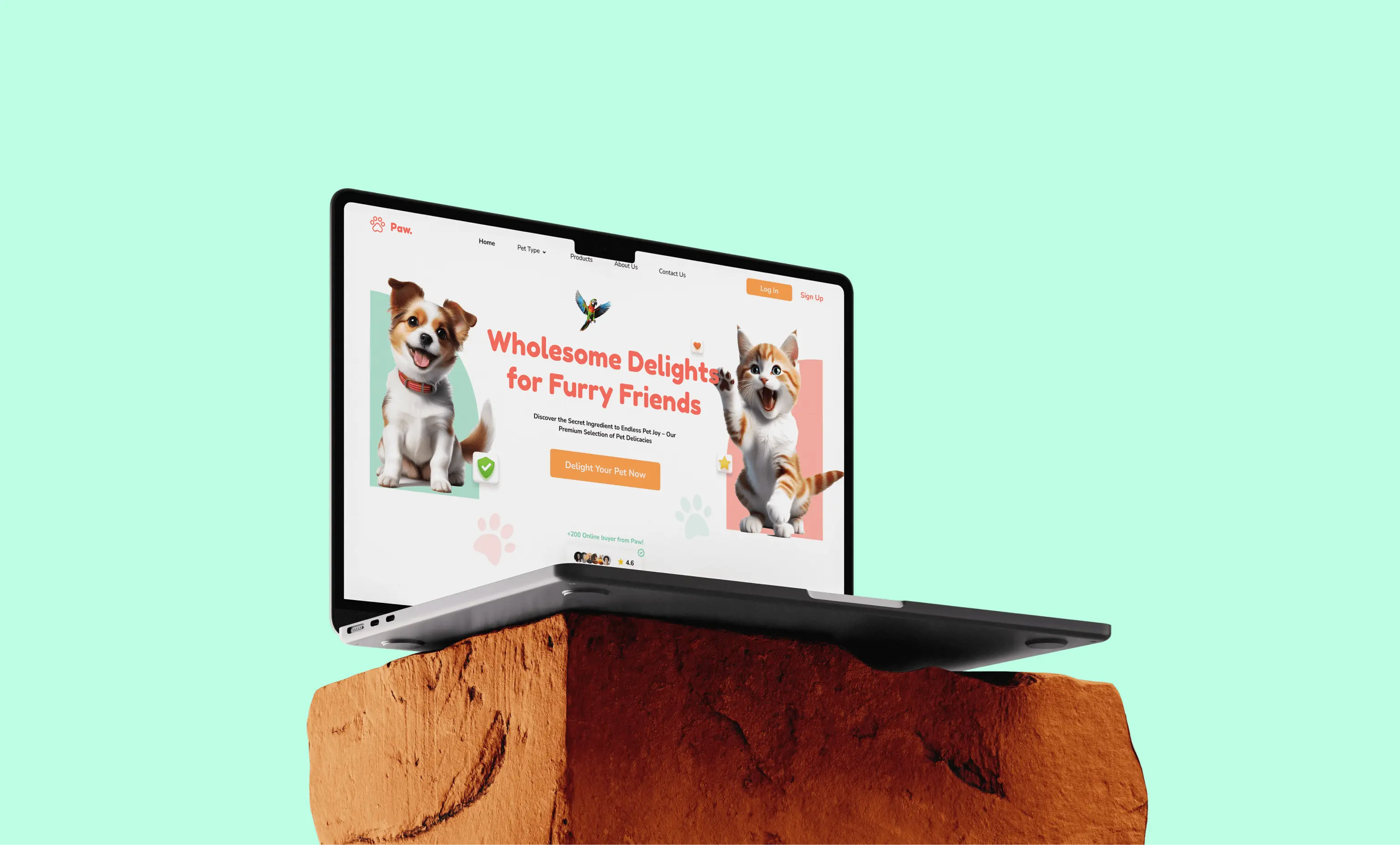 Paw Pet Food Shop Case Study Main Image