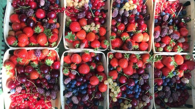Unsere grosse Auswahl an regionalen handgepflückten Beeren