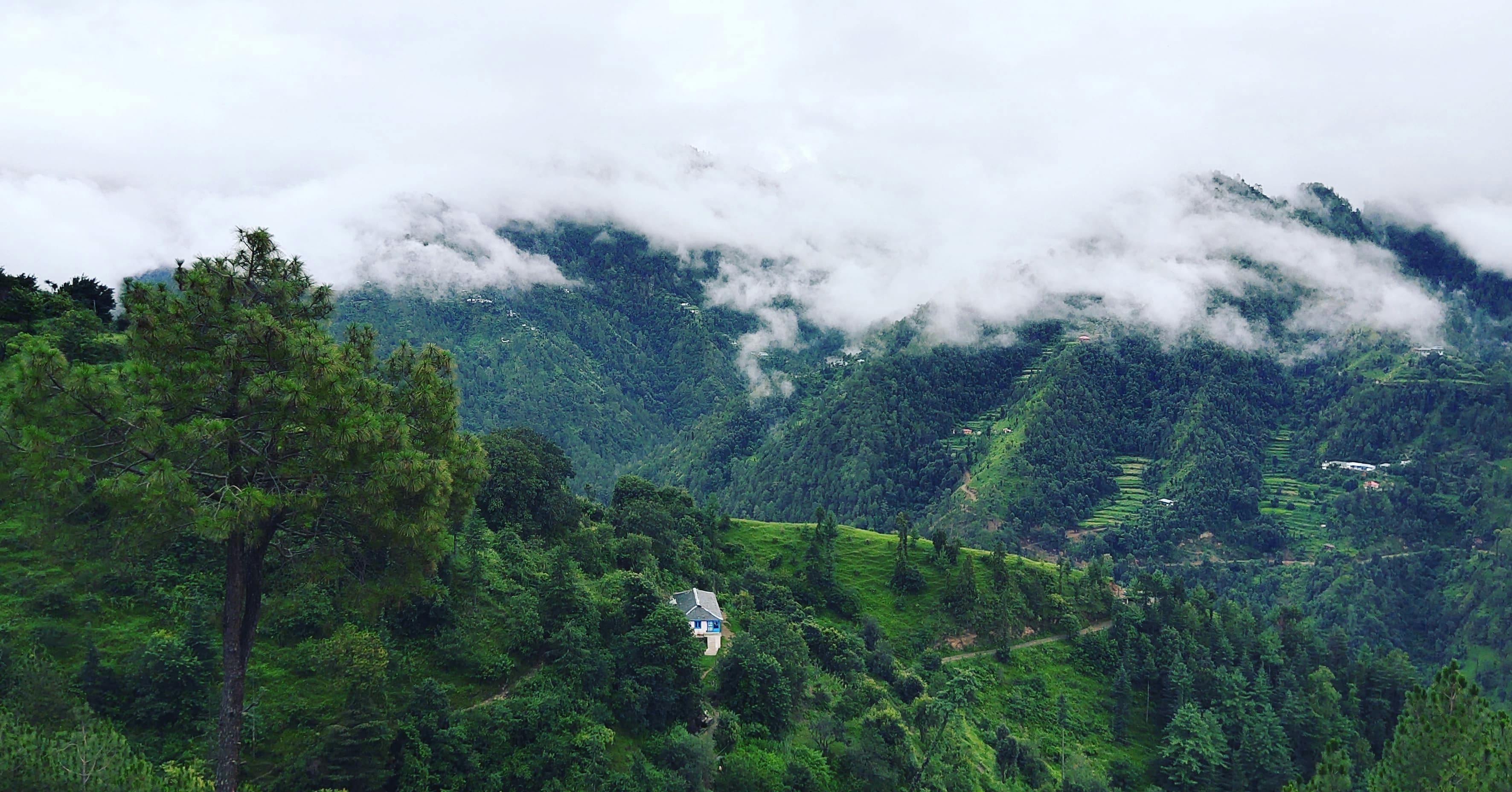 kasauli