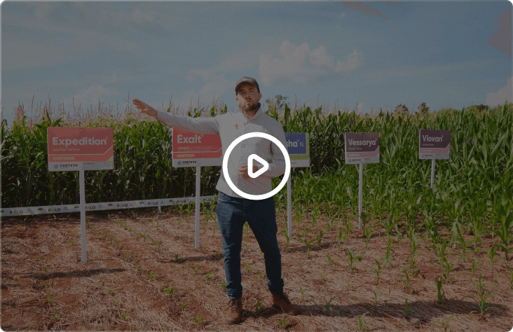 Vídeo 2 - Bracia Audiovisual