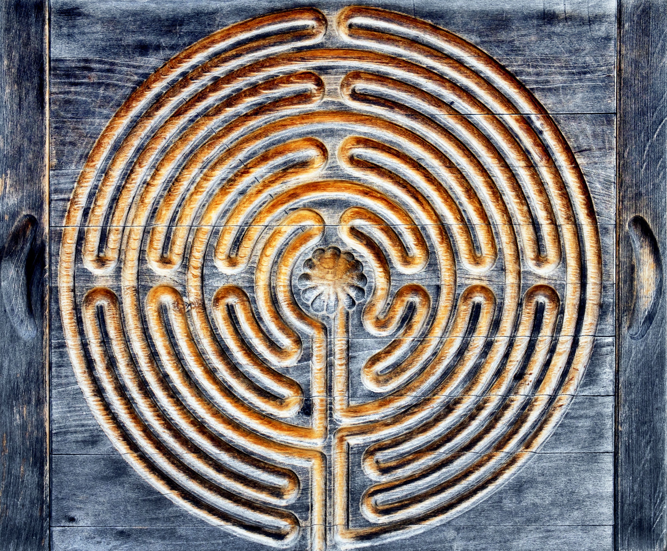 photography of people inside room during daytime