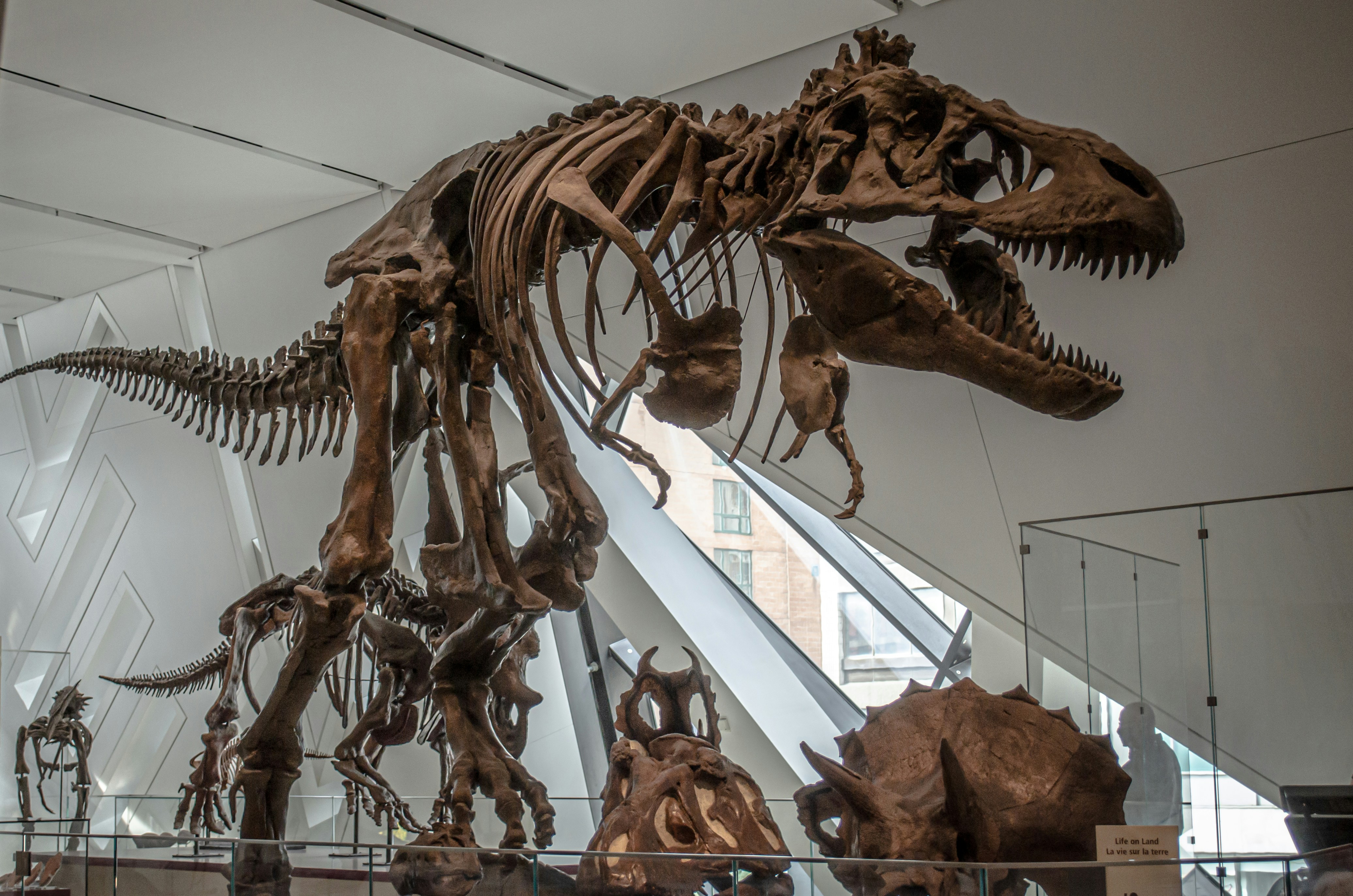 Royal Ontario Museum (ROM) toronto