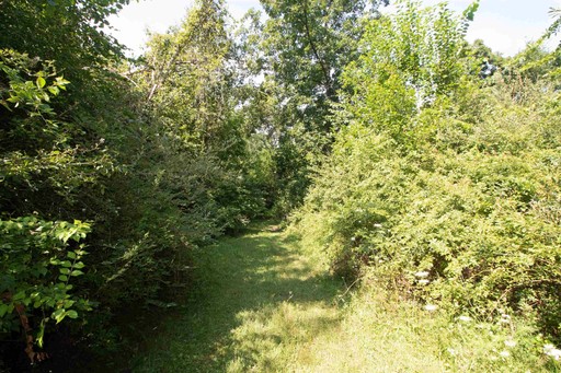 Photo 9 of 40 Acres County Hwy H, Ridgeway