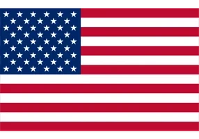 Country's Flag