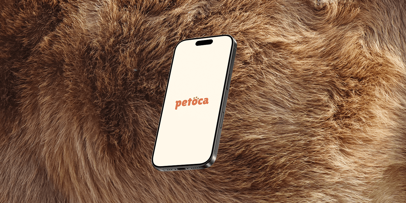 Cover image for portolio