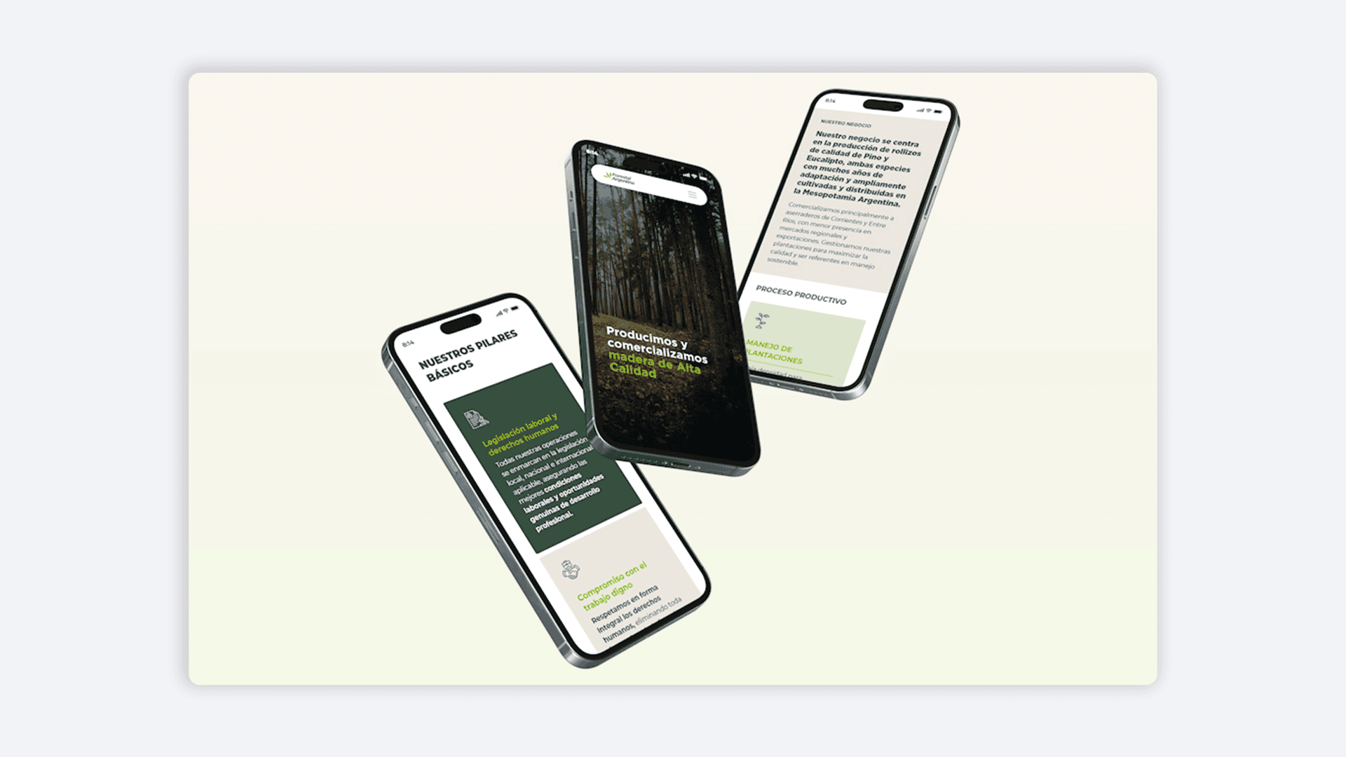 Tres smartphones mostrando pantallas sobre ecología contemplativa con textos detallados e imágenes de bosques serenos.