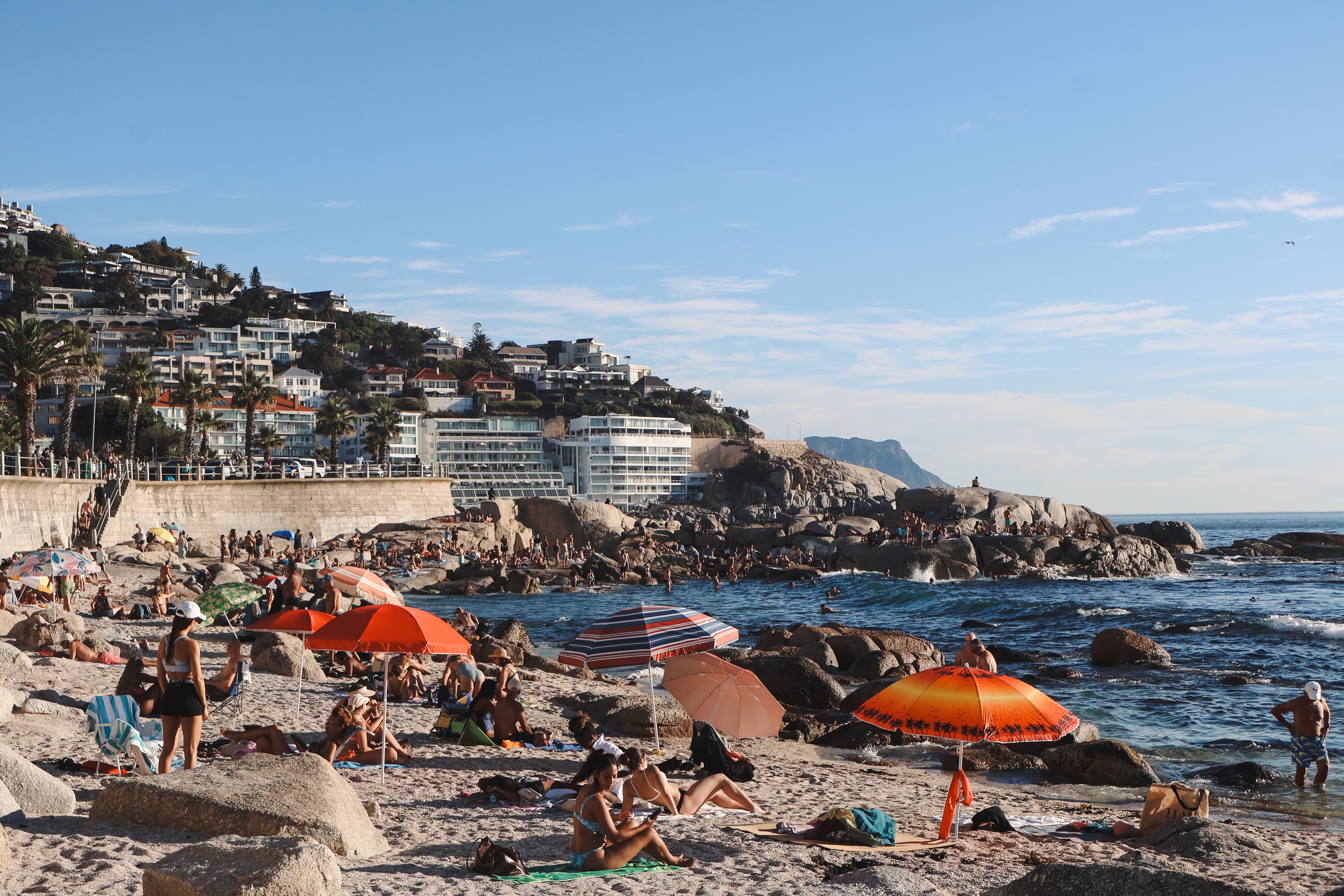 saunders on a sunny day