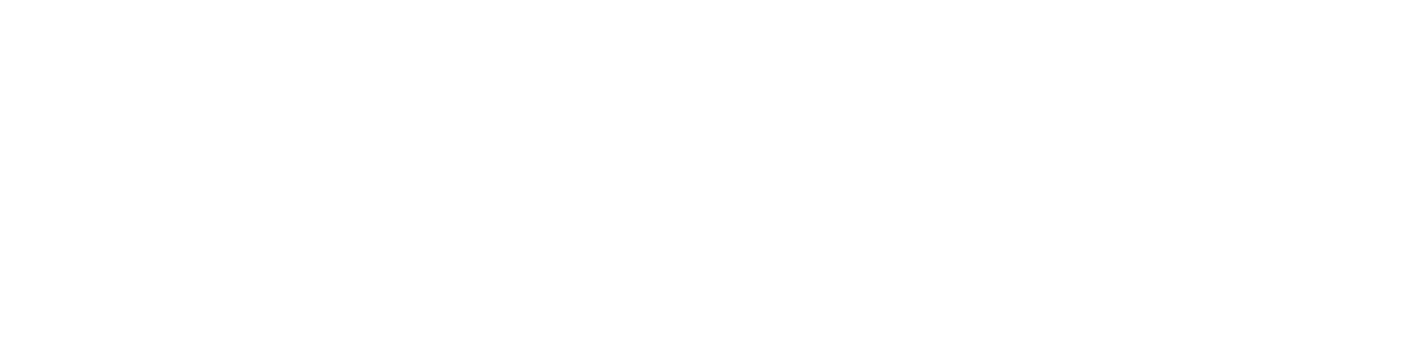 Pento 9900 Logo