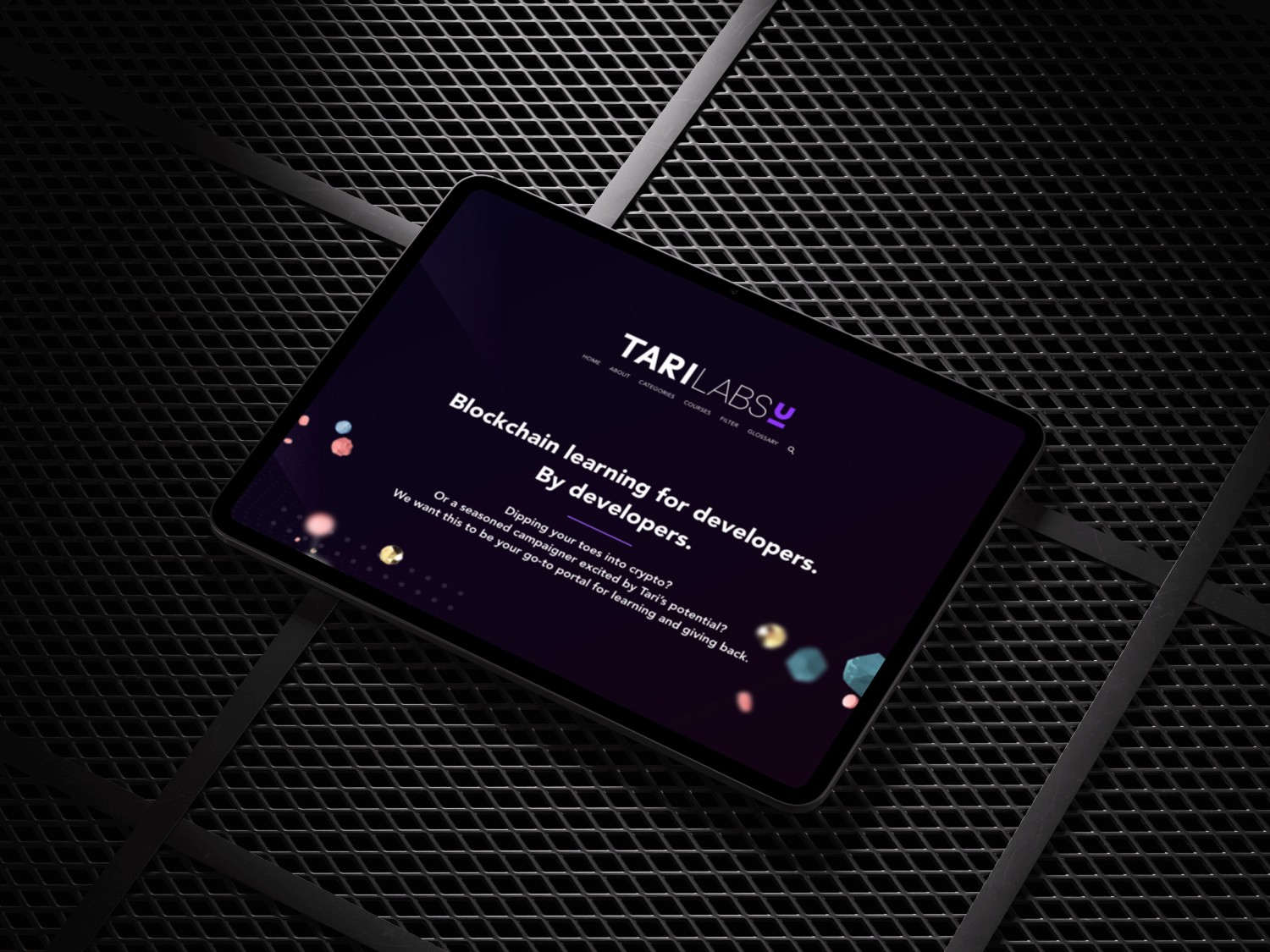 An intro section that sets the stage for what visitors will find.