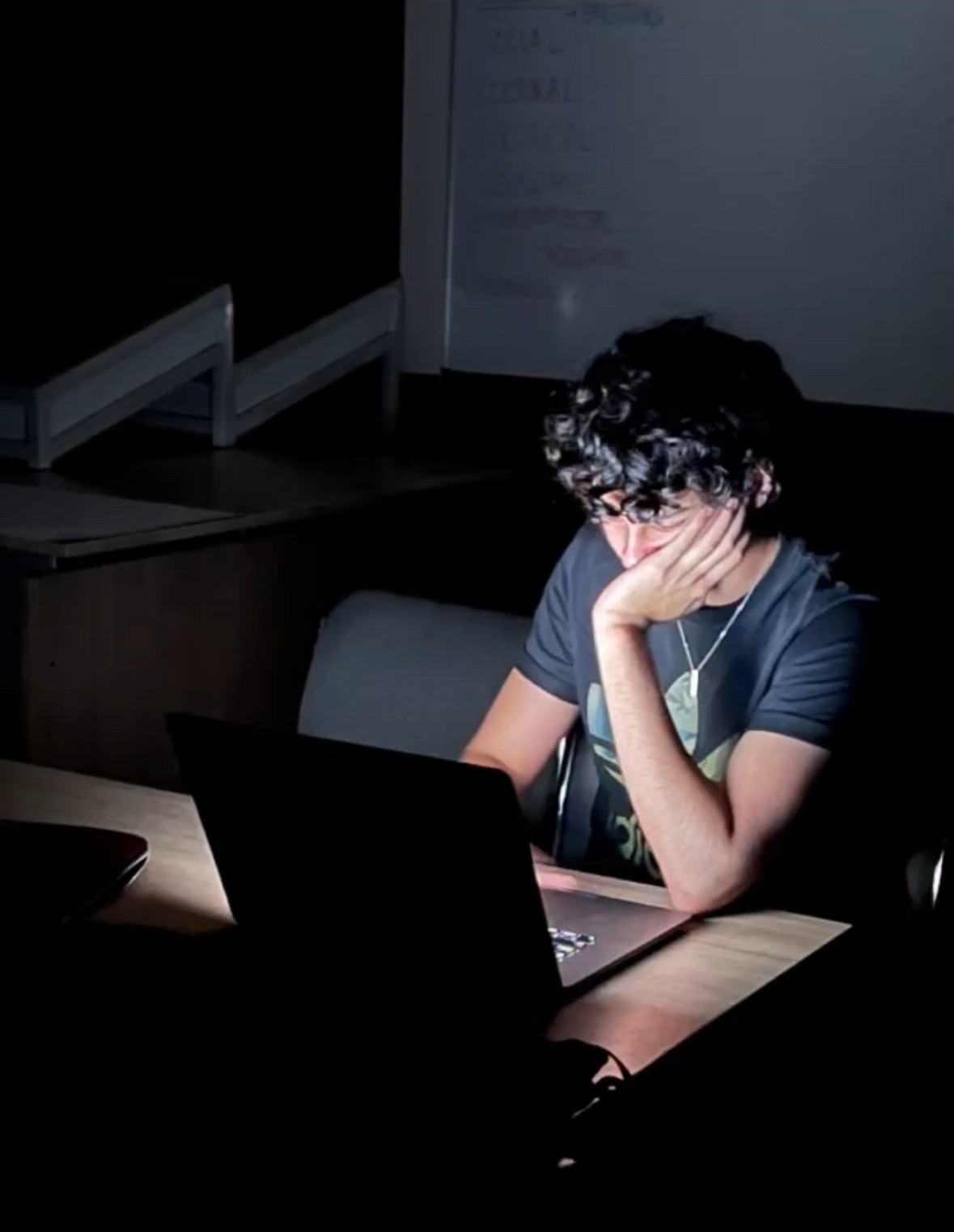 Woman Using Laptop