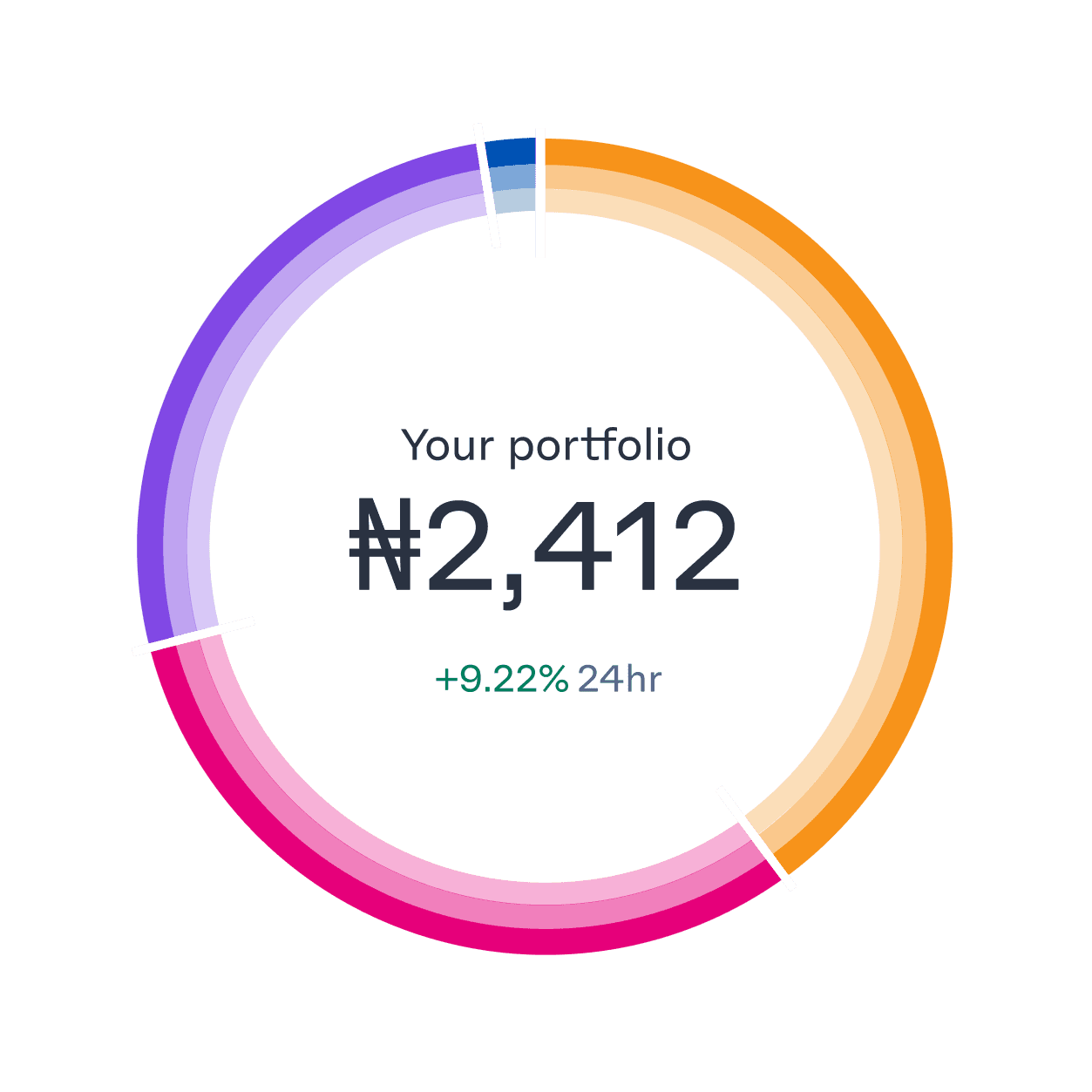 portfolio-ring-breakdown