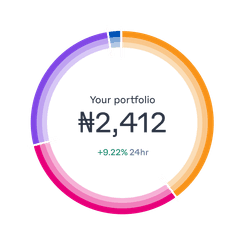 portfolio-ring-breakdown