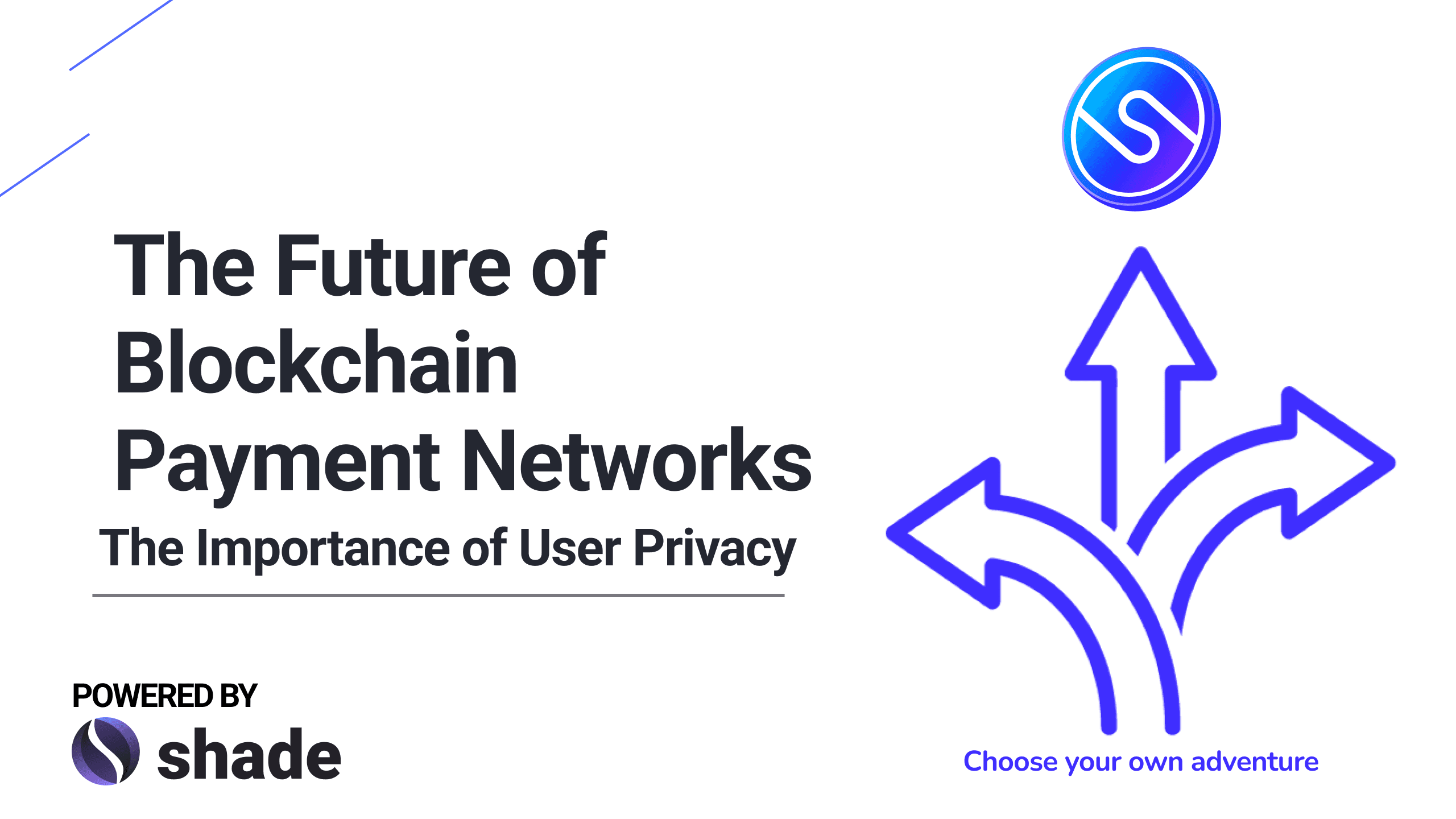 you-decide-the-future-of-blockchain-payment-networks-blog