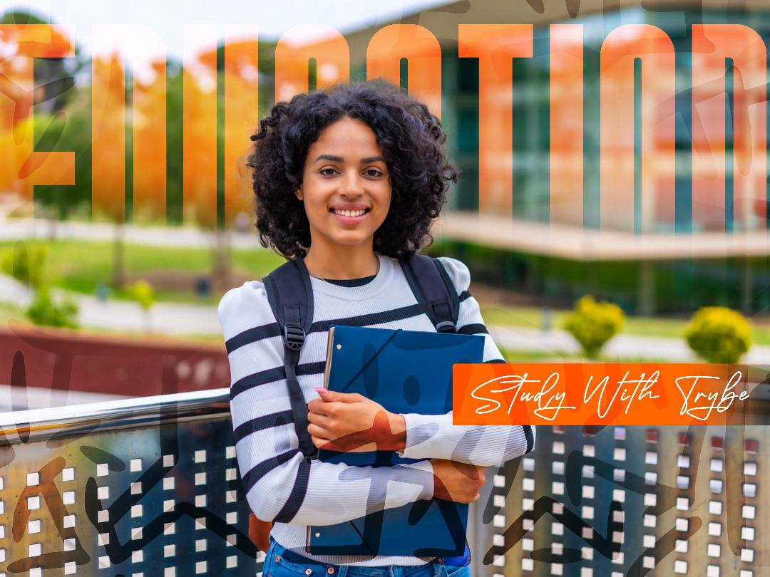 person holding light bulb