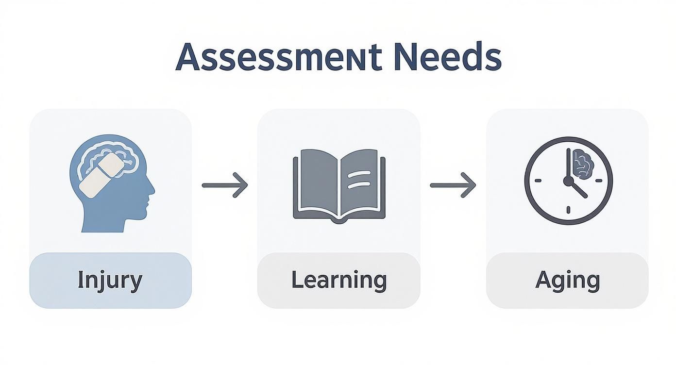 Infographic about what is neuropsychological assessment