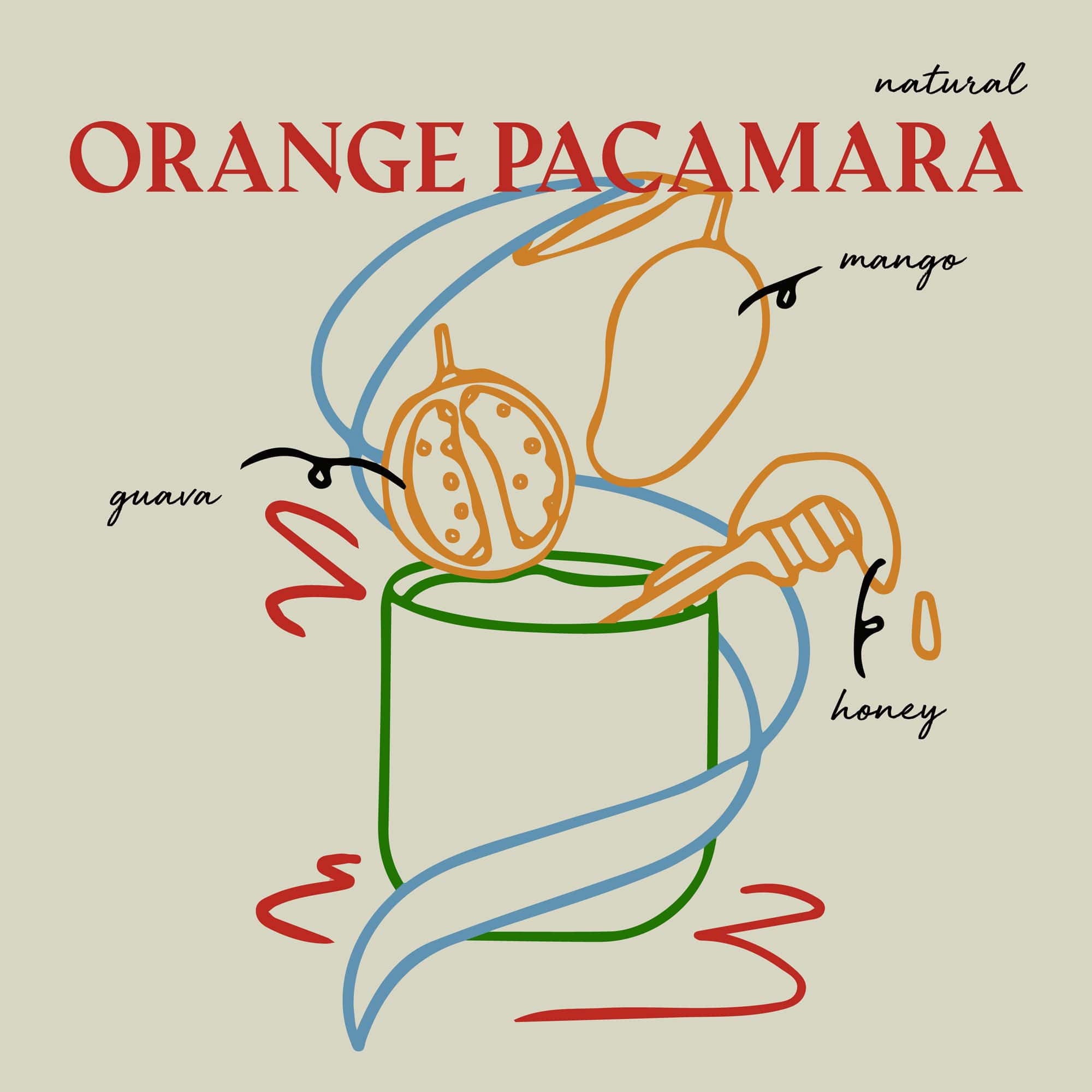 Los Pirineos Farm: Orange Pacamara Natural