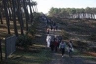 photos-marche-du-coeur-1er-novembre-2016-342