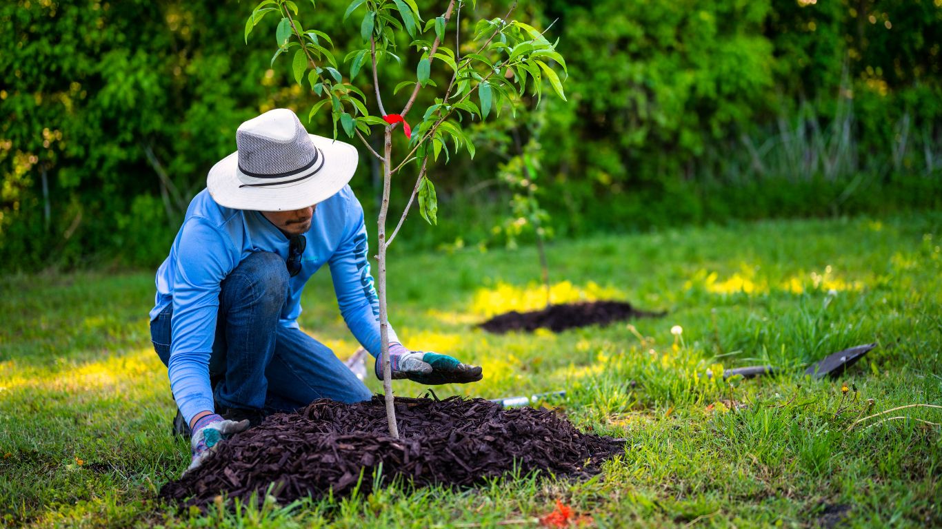 Residential Mulch Installation