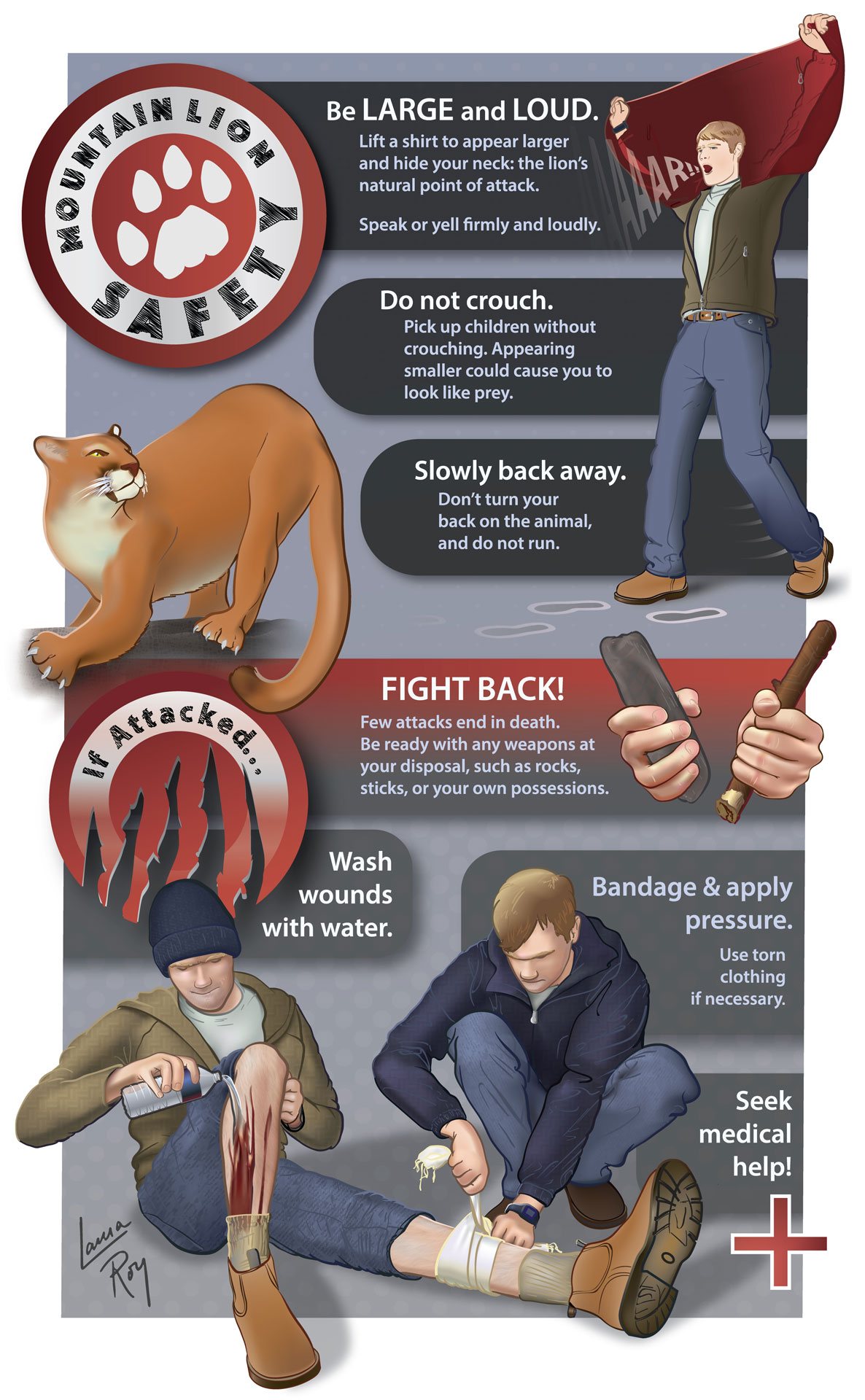 Mountain Lion Safety & First Aid Infographic