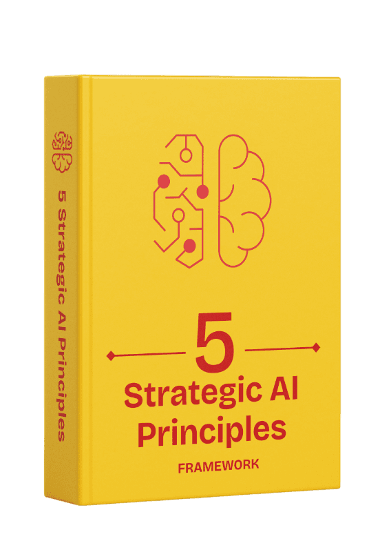 5 SAIP Methodology