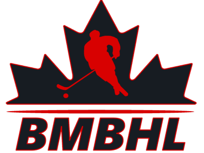A TeamLinkt Sports League Partner Logo