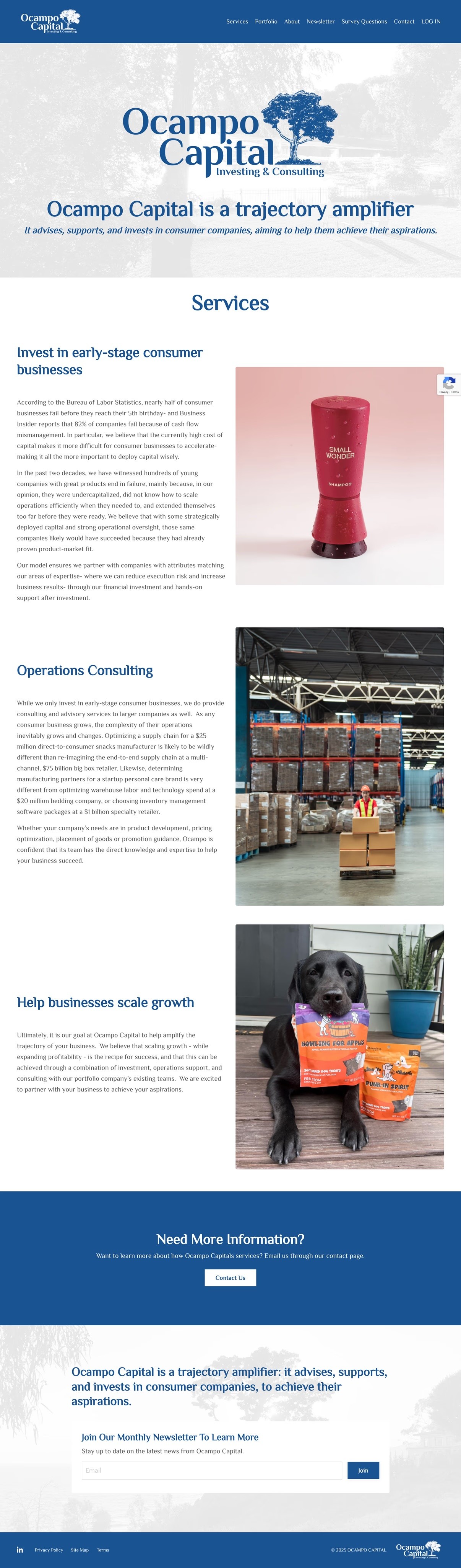 Ocampo Capital Website Services Page