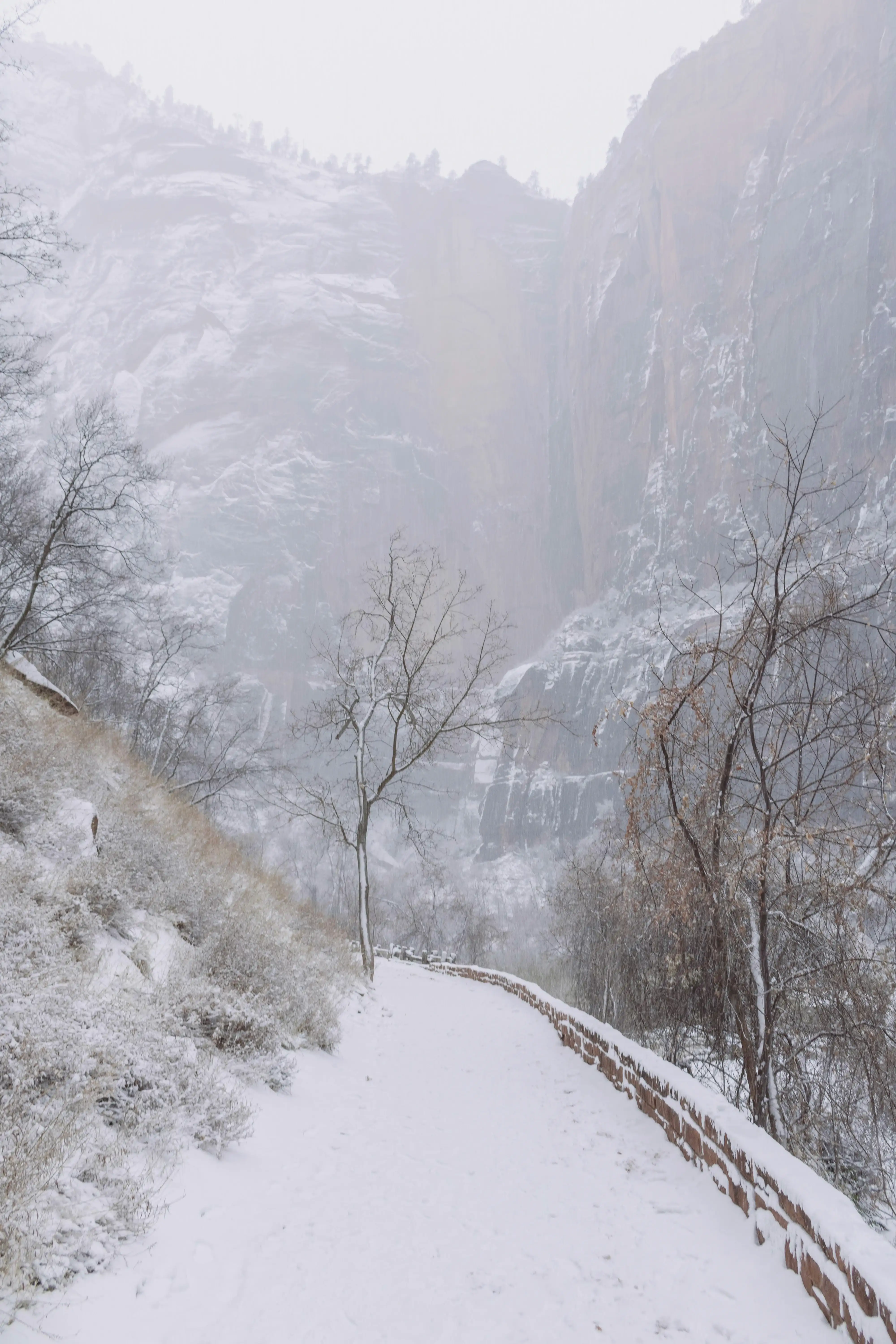 Snowy path leads towards misty mountains with bare trees.