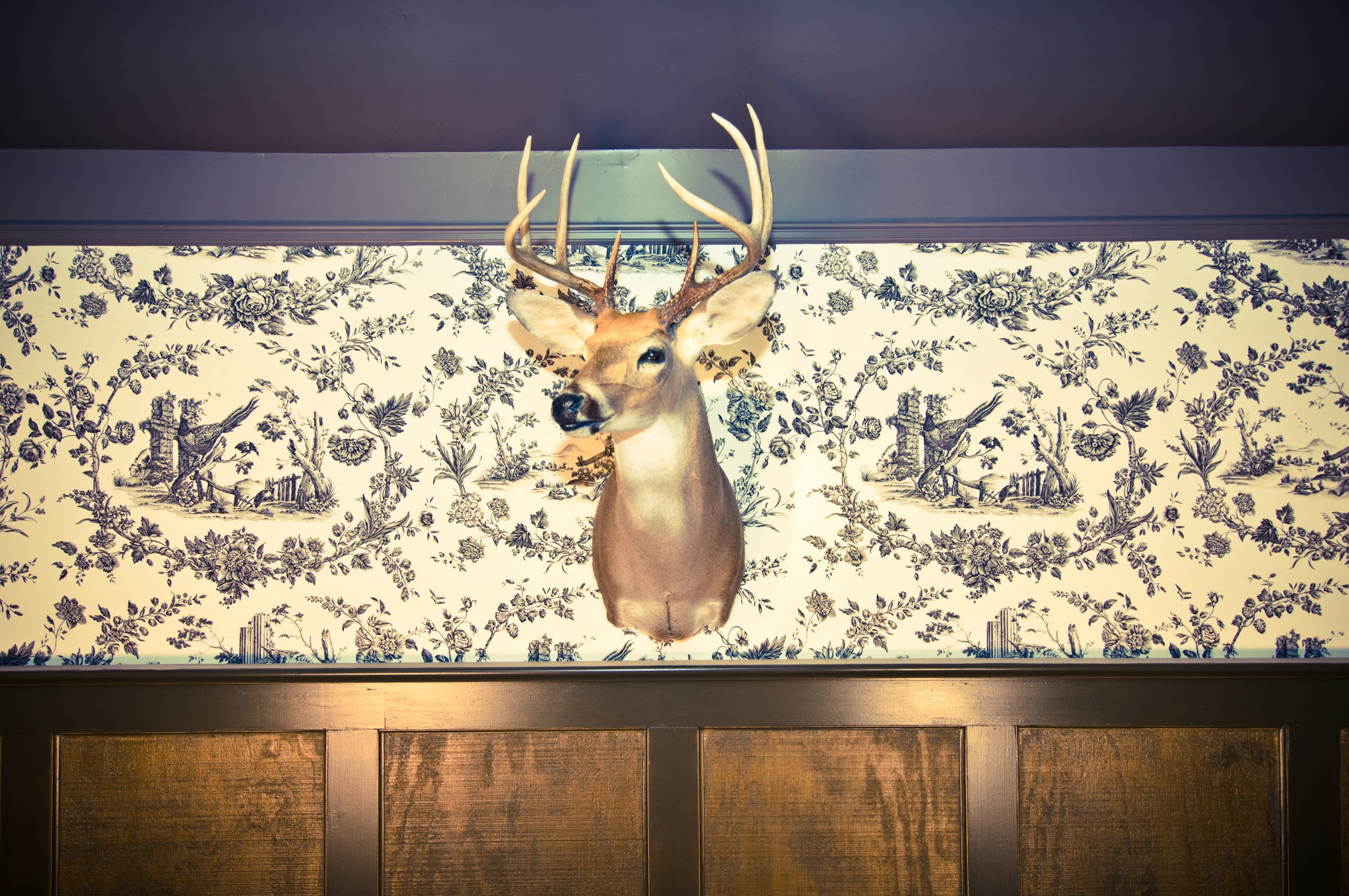 Mounted antlered deer head centered on blue-and-white patterned wallpaper above dark timber paneling.