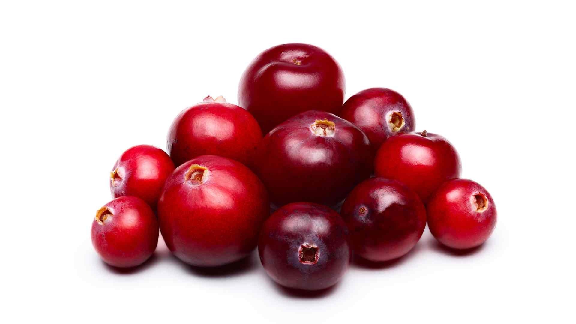 cranberry fruit