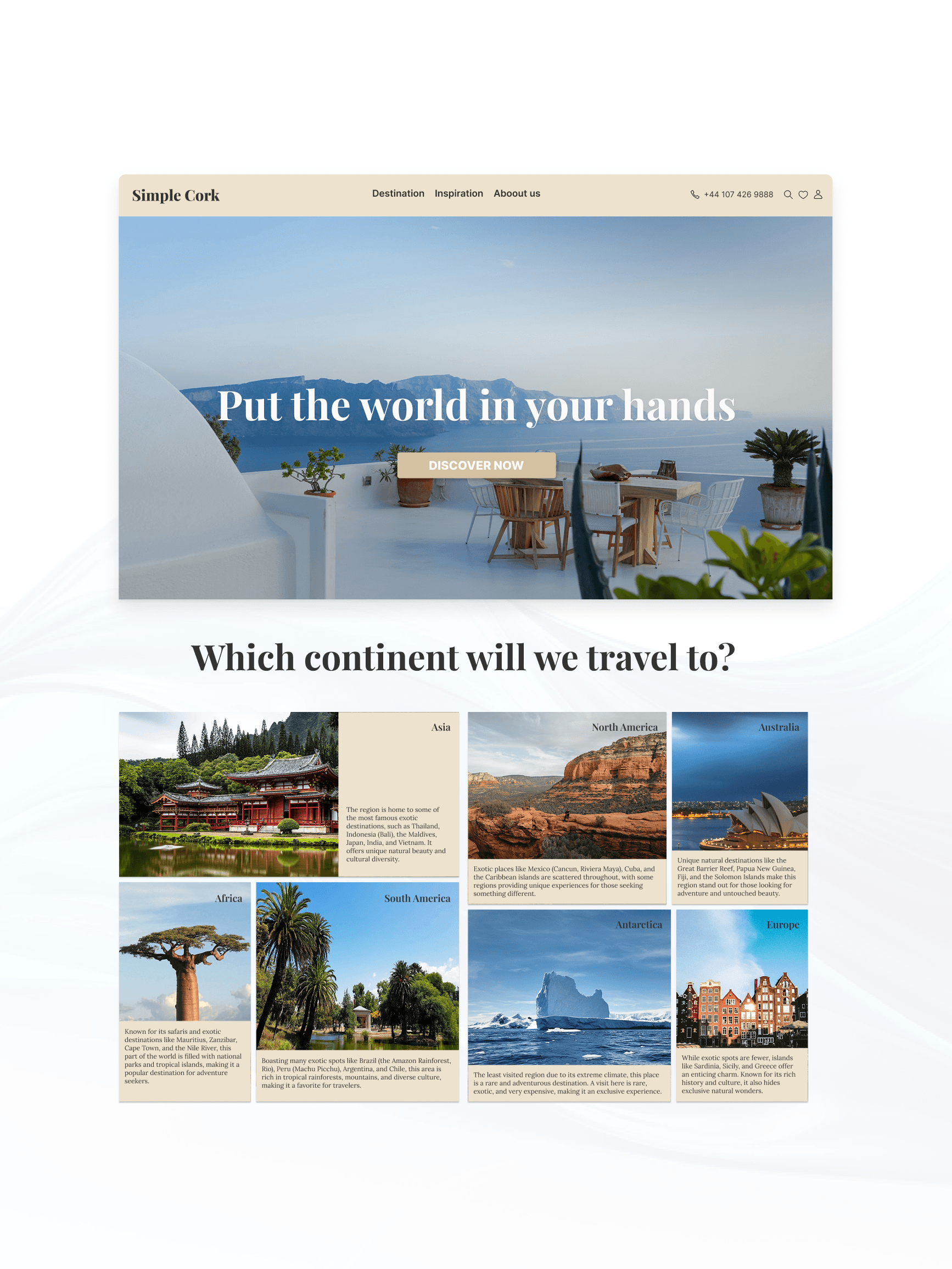 dark green leaves of coniferous plants