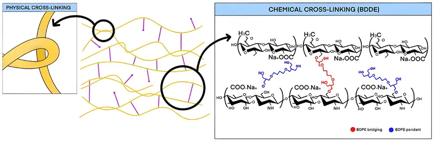 What is non-crosslinked hyaluronic acid?