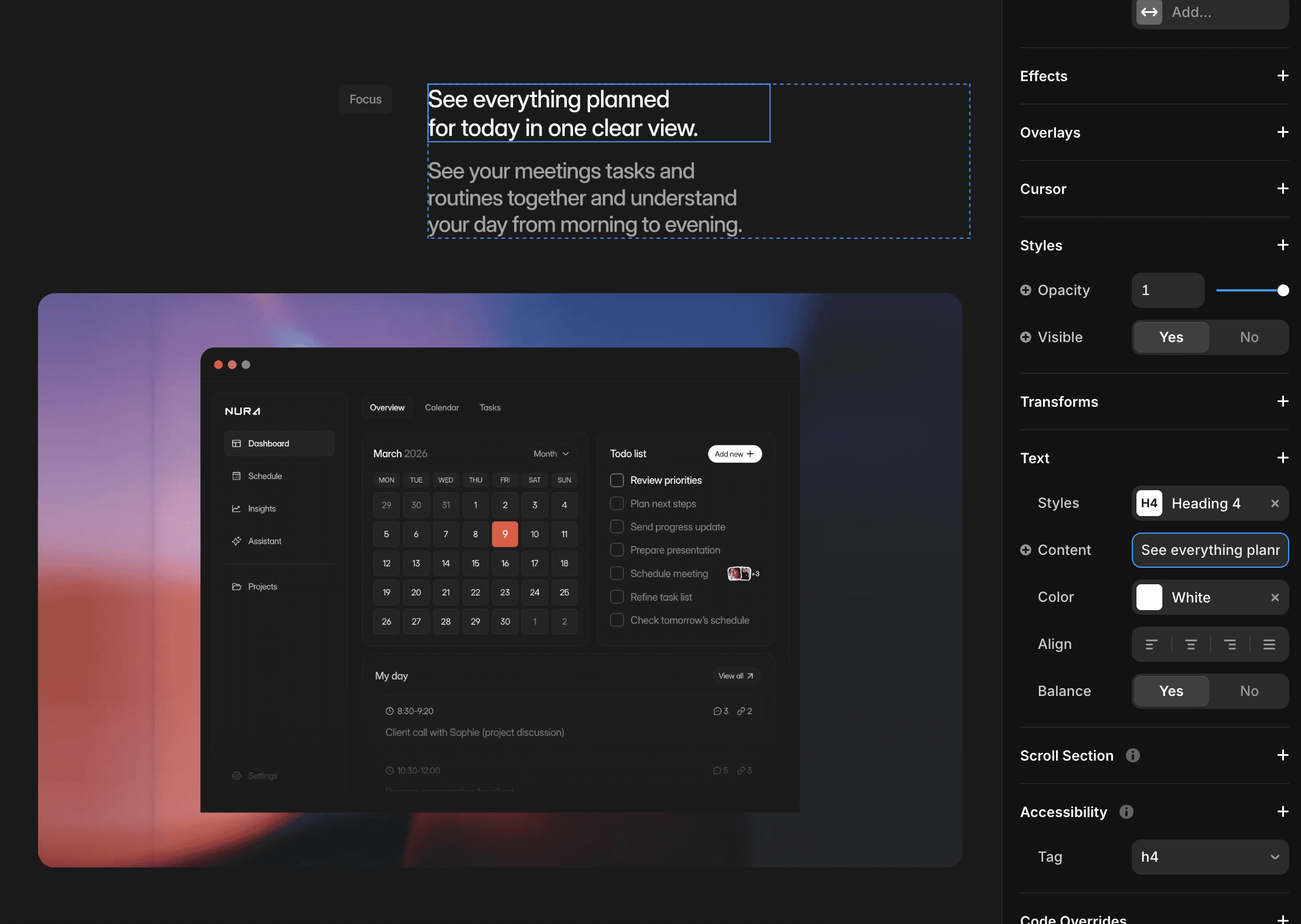 Nura Demo Product Section