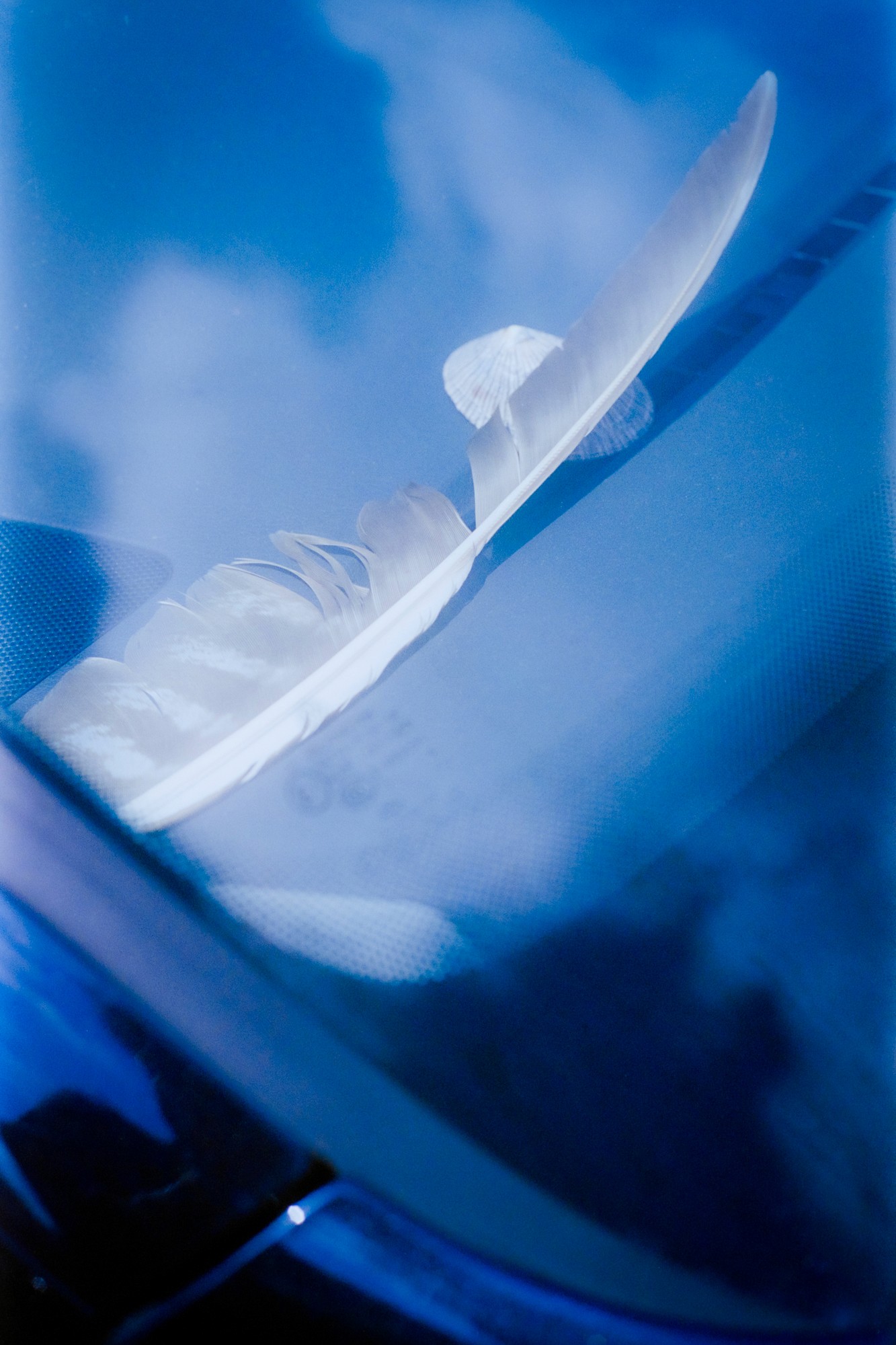 Taisei Matsumoto, 2023 exhibition view 11