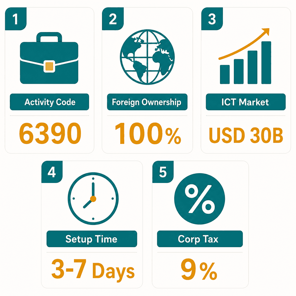 Infographic: How to Get a Other Information Services Business License in Dubai