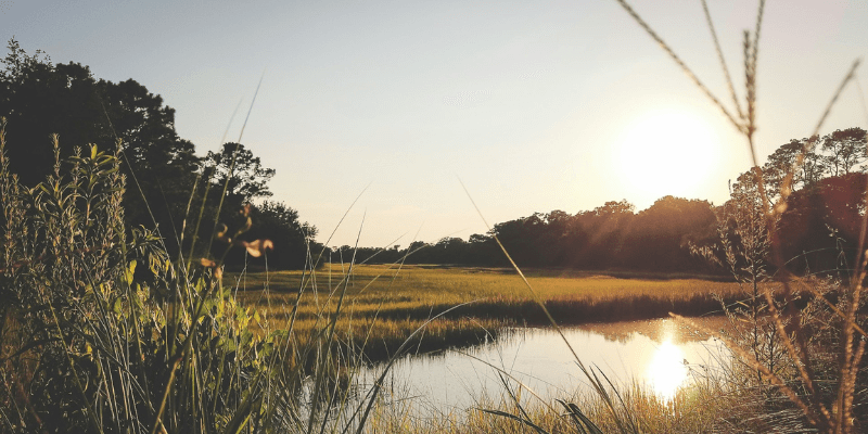 How to Become a Process Server in South Carolina
