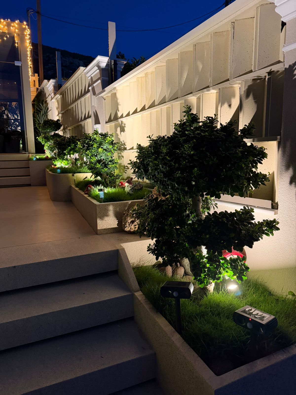Beautiful landscaped garden with greenery and outdoor design elements.