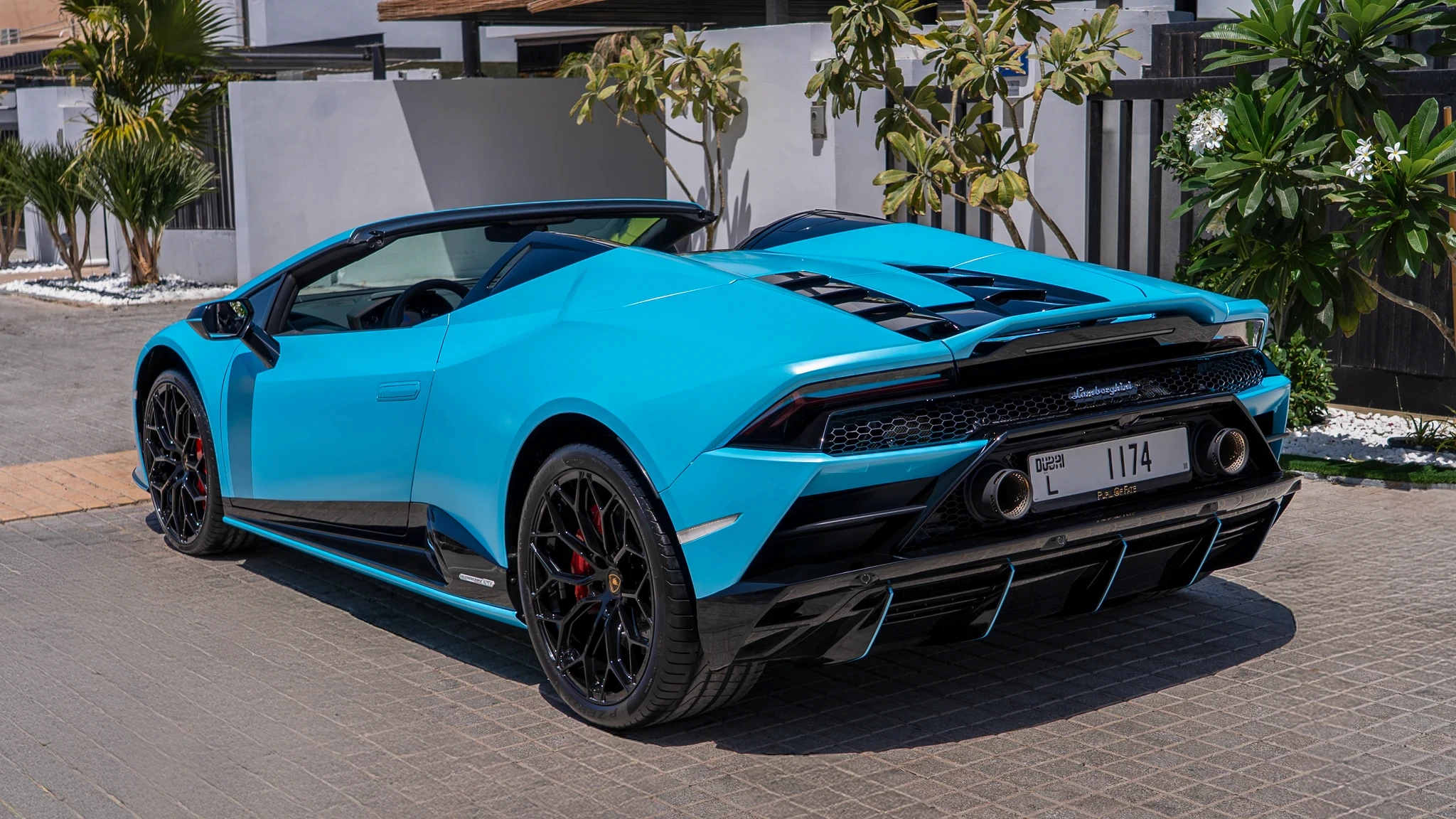 Green glass-metallic background with statistic cards