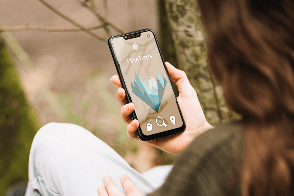 Cover projet Pixie Birds