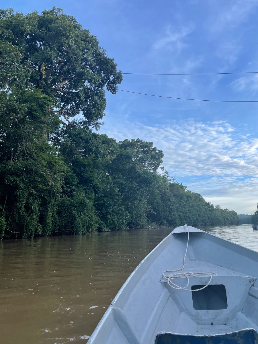 Boat Tour, Borneo