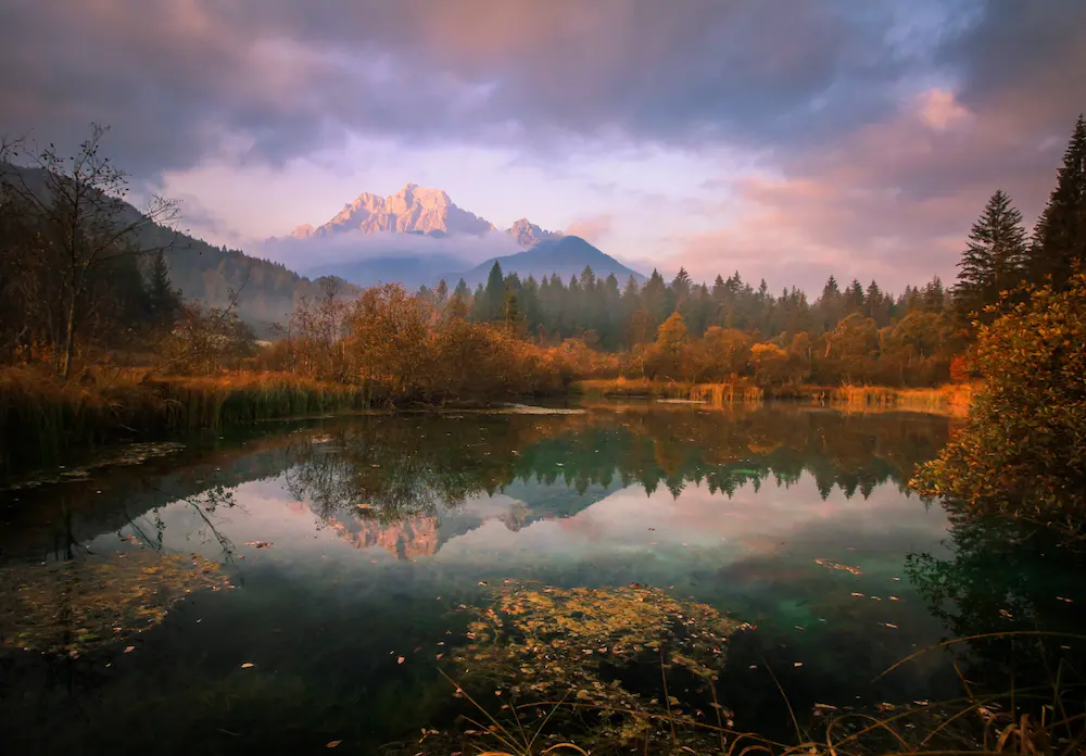 Mount Ponce reflected in the crystal-clear waters of the Zelenci springs during a vibrant autumn sunrise, surrounded by colorful wetlands and evergreen trees.