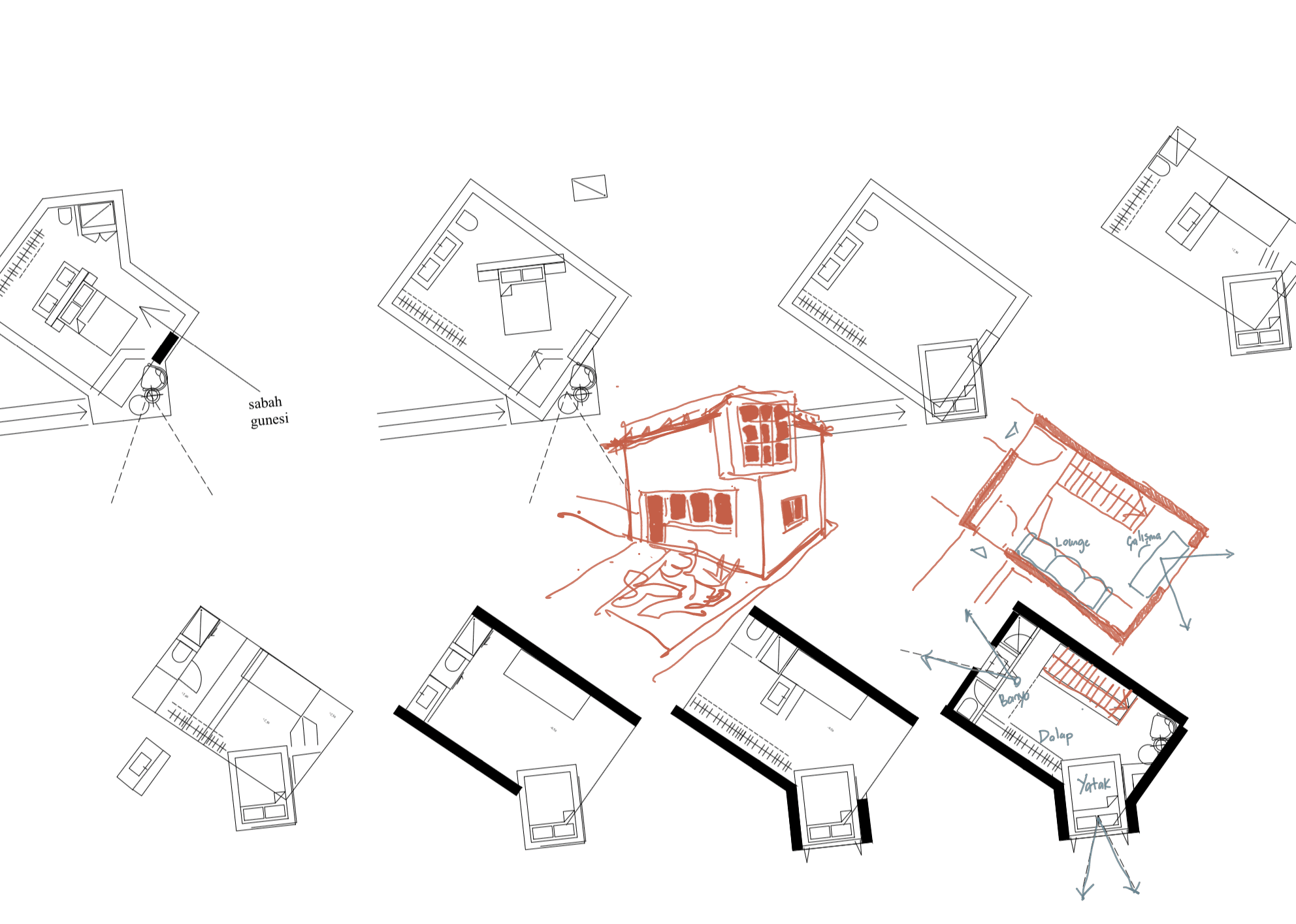 cigdem_hanim_evi_project_explain_ediz_demirel_works_edworks_architecture_studio_plan_drawing