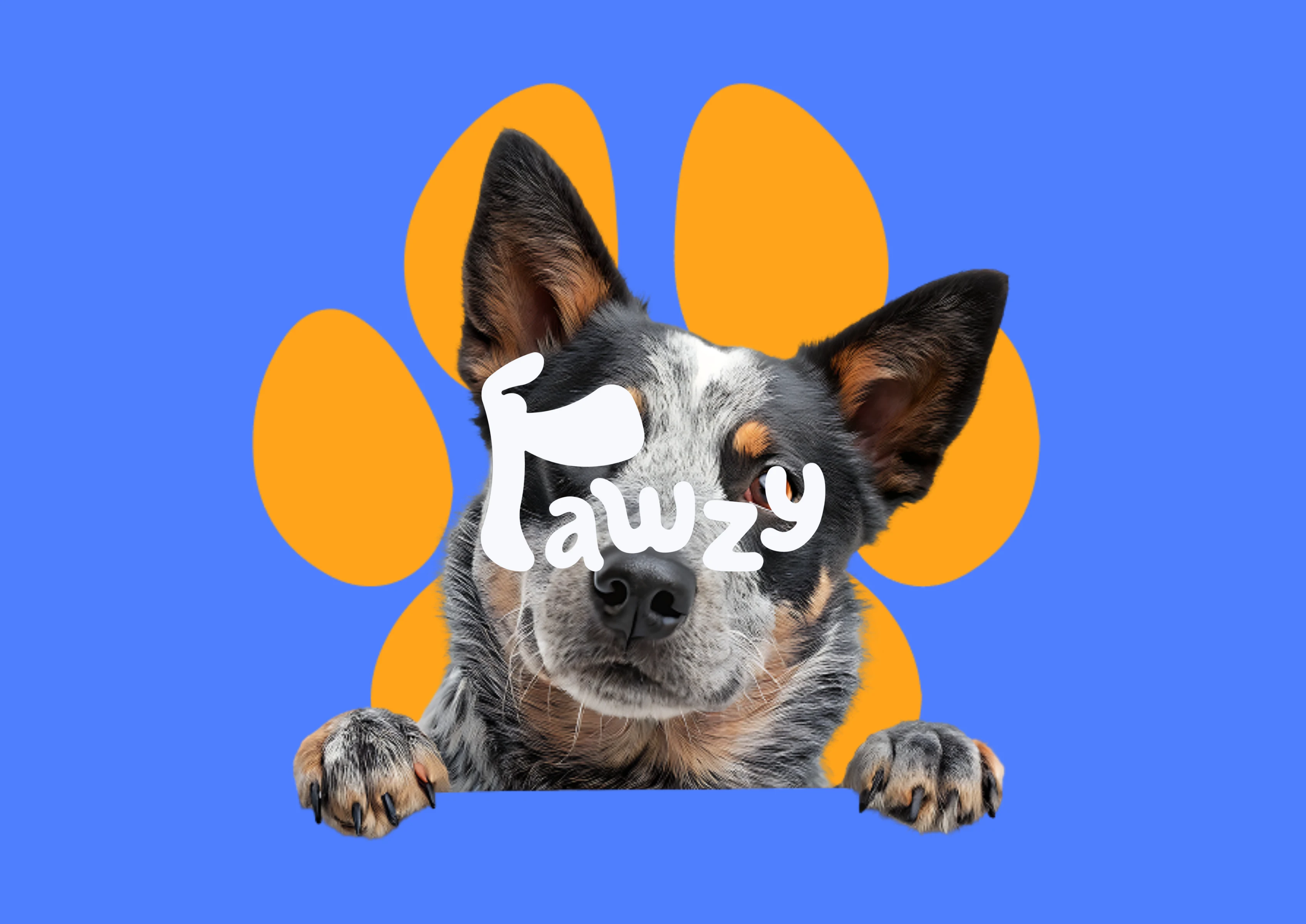 Branding Logo Accesorii Animale