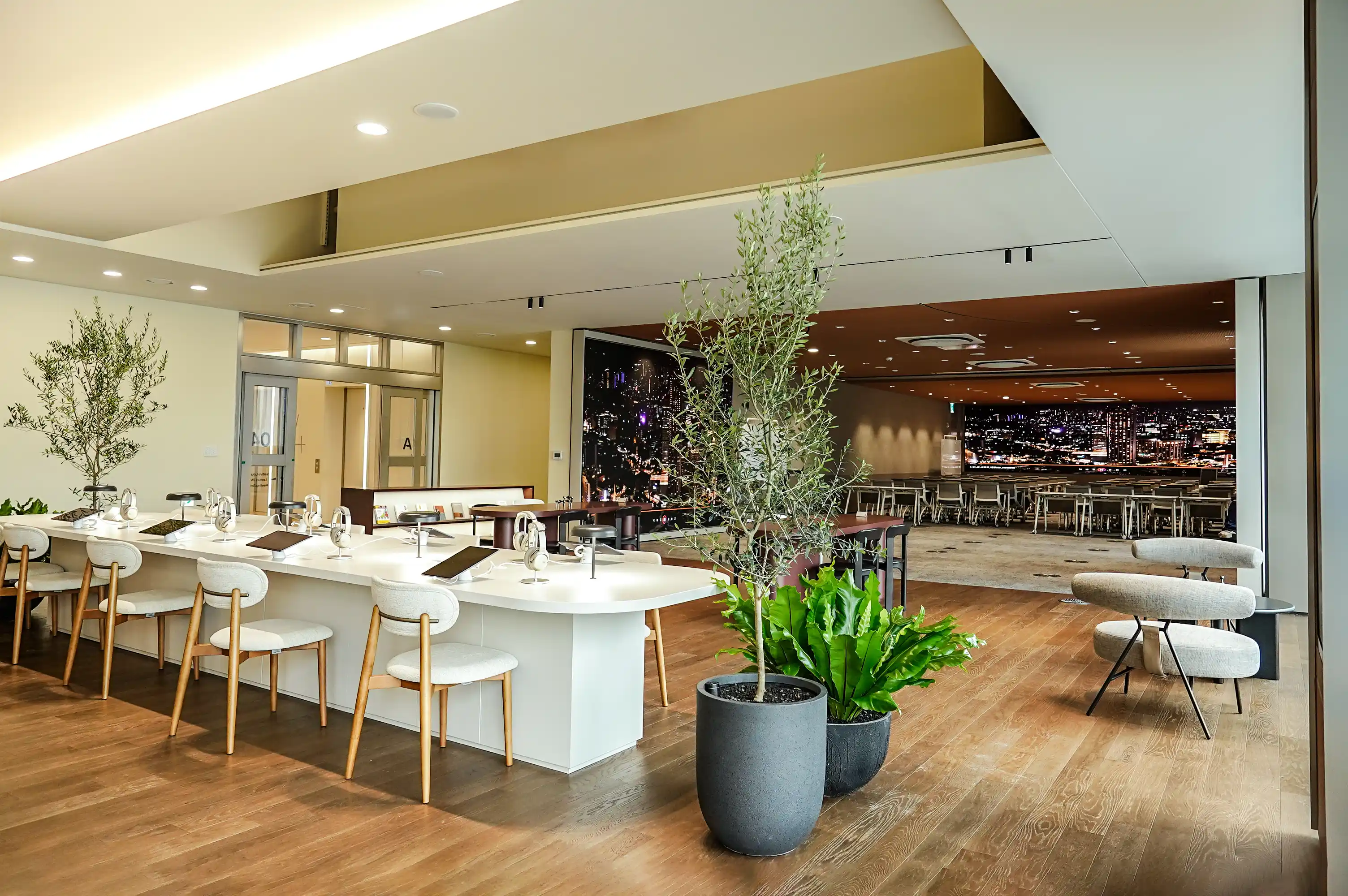 사옥 라이브러리 라운지 올리브 나무 플랜테리어
